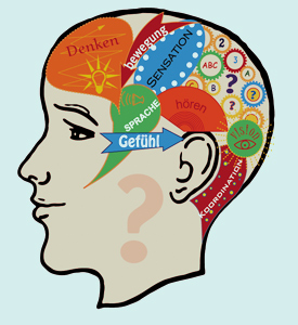 Areale im Kopf für die Steuerung von Denken, Bewegung, Sprache, Gefühl, Koordination, Hören, Visionen etc.